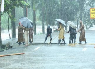 ഇന്നും വ്യാപക മഴയ്ക്ക് സാധ്യത; 11 ജില്ലകളിൽ യെല്ലോ അലർട്