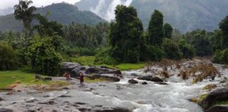 Accident Deaths Increased in Kariyathumpara Parakkadavu Area