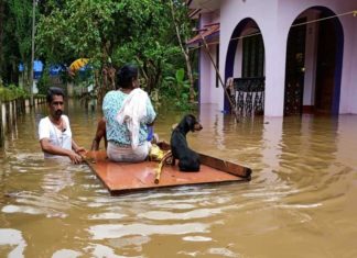 മലയോര മേഖലകളിൽ മഴ കനക്കും; അതീവ ജാഗ്രതയിൽ കുട്ടനാട് Heavy rain In Kerala And Alert In Kuttanad Region