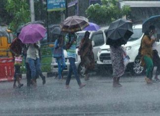 เดเดพเดธเตผเดเตเดกเต เดฎเดดเดฏเดฟเตฝ 13 เดตเตเดเตเดเตพ เดคเดเตผเดจเตเดจเต; 74.1 เดนเตเดเตโเดเตผ เดเตเดทเดฟ เดจเดถเดฟเดเตเดเต heavy rain in kerala