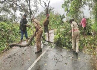 Nelliyampathi road traffic