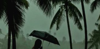 കാസർഗോഡ് മഴയ്ക്ക് നേരിയ കുറവ്; യെല്ലോ അലർട് പിൻവലിച്ചു kasargod rain