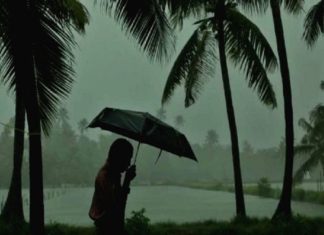 เดเดพเดธเตผเดเตเดกเต เดฎเดดเดฏเตโเดเตเดเต เดจเตเดฐเดฟเดฏ เดเตเดฑเดตเต; เดฏเตเดฒเตเดฒเต เด
เดฒเตผเดเต เดชเดฟเตปเดตเดฒเดฟเดเตเดเต kasargod rain