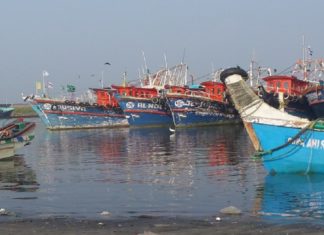 ponnani fishing harbour