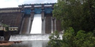 പേപ്പാറ ഡാമിന്റെ ഷട്ടറുകൾ വീണ്ടും ഉയർത്തും; ജാഗ്രത പാലിക്കണമെന്ന് നിർദ്ദേശം Dam Open