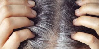 അകാല നരയാണോ പ്രശ്നം? വീട്ടിലുണ്ടാക്കാം ഈ ഹെയർ ഓയിൽസ് grey hair_preventions