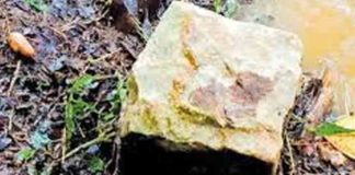 land-in-the-Churani-area take forest department