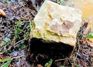 land-in-the-Churani-area take forest department