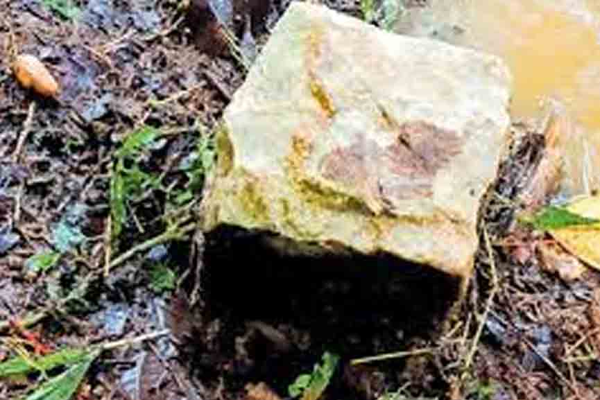 land-in-the-Churani-area take forest department land-in-the-Churani-area take forest department