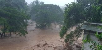 ജീവിതം പ്ളാസ്റ്റിക് ഷെഡിൽ, തിരിഞ്ഞുനോക്കാതെ സർക്കാർ; ദുരന്തബാധിതരുടെ ദുരിതമൊഴിയുന്നില്ല landslide-koottickal