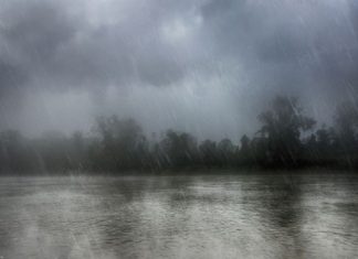 അച്ചൻകോവിലാർ, കല്ലാർ തീരങ്ങളിൽ താമസിക്കുന്നവർക്ക് ജാഗ്രതാ നിർദ്ദേശം Rain In Kerala
