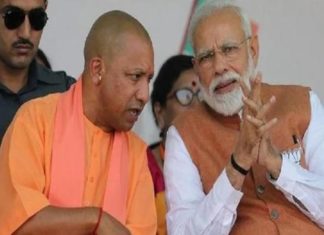up-polls