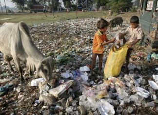 ലോകം ഒരു വർഷം കുപ്പത്തൊട്ടിയിലേക്ക് വലിച്ചെറിയുന്നത് 100 കോടി ടൺ ഭക്ഷണം! Poverty