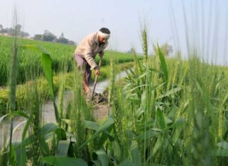 farmers issue