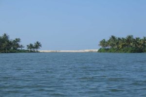 cleaning-of-ashtamudi-lake