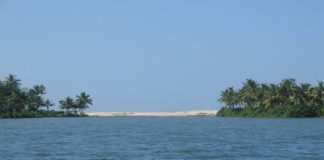 cleaning-of-ashtamudi-lake