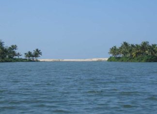 മുഖ്യമന്ത്രിയുടെ ഓഫിസ് ഇടപെട്ടു; അഷ്ടമുടിയിലെ മാലിന്യം നീക്കി cleaning-of-ashtamudi-lake