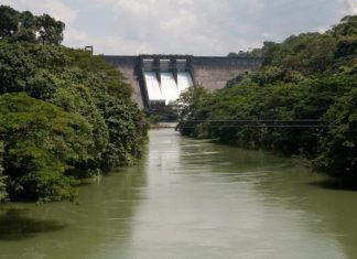 കല്ലട ഡാമിന്റെ ഷട്ടർ ഉയർത്തും; ജാഗ്രതാ നിർദ്ദേശം kallada-dam-open
