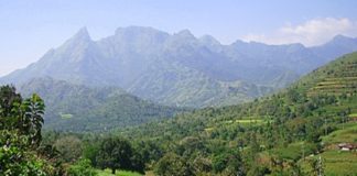 അട്ടപ്പാടിയിലെ ഭൂമി തർക്കം; കളക്ടർ റവന്യൂ മന്ത്രിക്ക് വീണ്ടും റിപ്പോർട് കൈമാറി Attappadi land issue