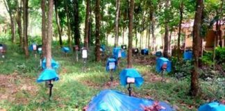 കനത്ത മഴ; ജില്ലയിൽ തേനീച്ച കർഷകരും പ്രതിസന്ധിയിൽ Bee Farmers Issues In Kannur