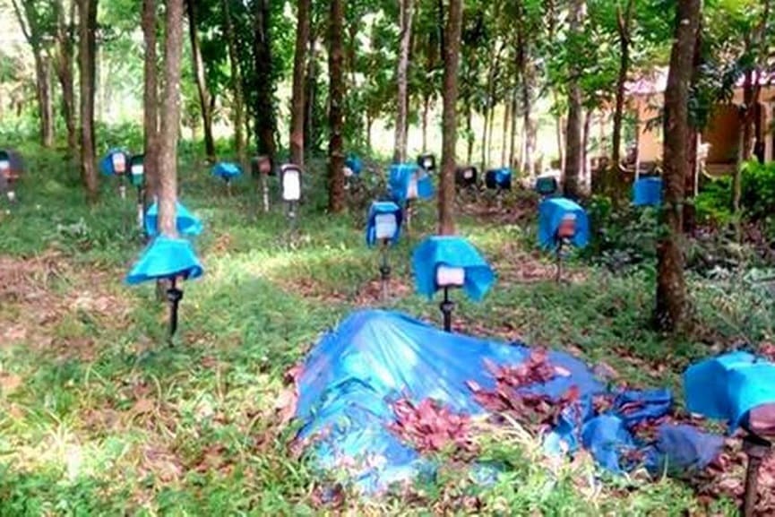 Bee Farmers Issues In Kannur Bee Farmers Issues In Kannur