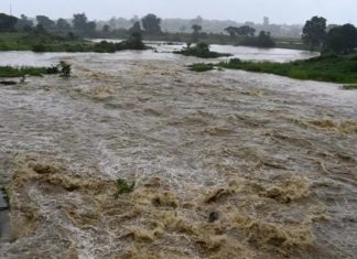 Chalakudy river-water rie-caution