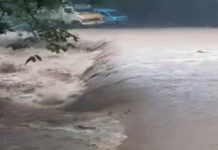 മലപ്പുറത്ത് കനത്ത മഴ, മലവെള്ളപ്പാച്ചിൽ; താഴ്ന്ന പ്രദേശങ്ങളിൽ വെള്ളം കയറി Heavy rain in malappuram