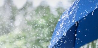 കാലവർഷം; വയനാട്ടിൽ ലഭിച്ചത് 1725.5 മില്ലീമീറ്റർ മഴ-32 ശതമാനം കുറവ് rain in wayanad