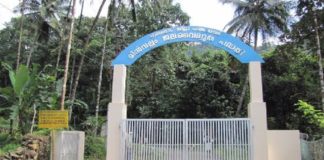 വൈദ്യുത ഉൽപ്പാദന കേന്ദ്രങ്ങൾ; മാതൃകയായി പാലക്കാട് ജില്ലാ പഞ്ചായത്ത് Power plants Palakkad