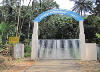 Power plants Palakkad