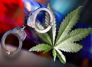 One Were Arrested In Malappuram In Ganja case