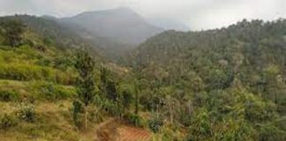 അട്ടപ്പാടിയിലെ ഭൂമി തർക്കം; പ്രതിഷേധത്തിന് ഒരുങ്ങി ആദിവാസികൾ Land dispute in Attappadi