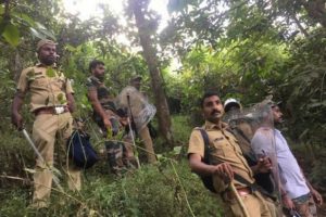 tiger attack in wayanad