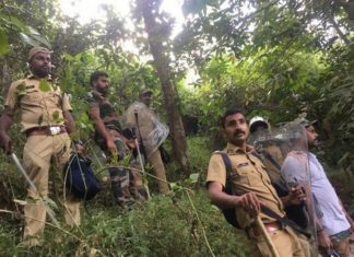 കടുവയെ വീണ്ടും കണ്ടു, നാട്ടുകാരെ മാറ്റി; പഞ്ചാരക്കൊല്ലിയിൽ ദൗത്യത്തിന് 85 അംഗ സംഘം tiger attack in wayanad