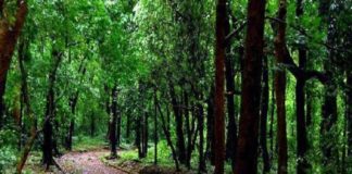 മലമ്പുഴ ഉൾവനത്തിൽ കുടുങ്ങിയ തണ്ടർ ബോൾട്ട് സംഘം സുരക്ഷിതർ Malampuzha_forest officers