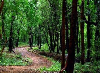 Malampuzha_forest officers