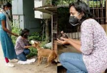 Two women rescue a stray dog