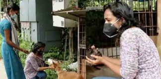 വണ്ടി ഇടിച്ച് പരിക്കേറ്റ തെരുവ് നായക്ക് രക്ഷകരായി രണ്ട് സ്ത്രീകൾ Two women rescue a stray dog