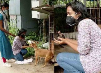 Two women rescue a stray dog