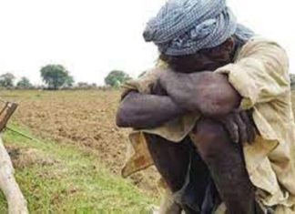 Extreme misery for farmers