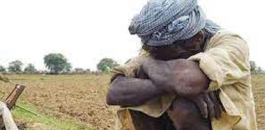 palakkads-paddy-farmers-in-crisis