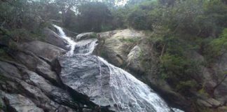 Tourists Banned In Aliyar Monkey Falls