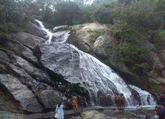 Tourists Banned In Aliyar Monkey Falls