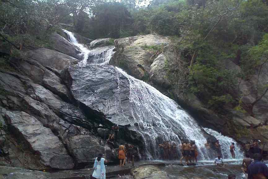 Tourists Banned In Aliyar Monkey Falls Tourists Banned In Aliyar Monkey Falls