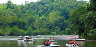 เดธเดเตเดเดพเดฐเดฟเดเดณเตเดเต เดเดดเตเดเตเดเต; เดเดฟเดฒเตเดฒเดฏเดฟเดฒเต เดตเดฟเดจเตเดฆ เดเตเดจเตเดฆเตเดฐเดเตเดเดณเดฟเตฝ เดคเดฟเดฐเดเตเดเตเดฑเตเดจเตเดจเต Tourists Increased In Wayanad Tourism Centers