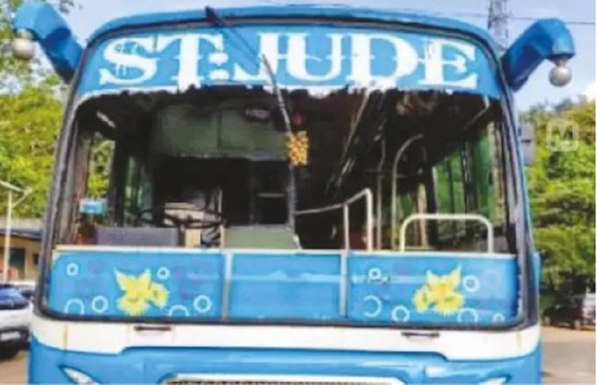 wild animal attack wild animal attack