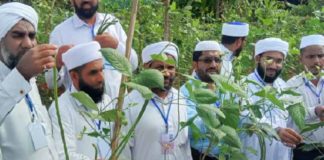 เดเดธเตโเดตเตเดเดธเตโ ‘เดธเดเดเดเตเดทเดฟ’ เดตเดฟเดณเดตเตเดเตเดชเตเดชเดฟเดจเต เดคเตเดเดเตเดเดฎเดพเดฏเดฟ SYS _ Harithamuttam _ Sangakrishi