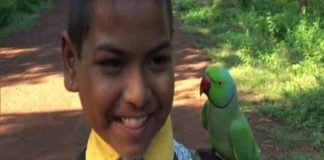 ‘അപൂർവ സൗഹൃദം’; വിദ്യാർഥികളോട് കൂട്ടുകൂടി തത്ത Rare friendship