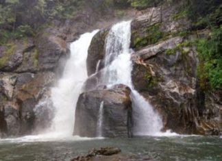 Meenmutty waterfall need to open