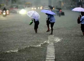 മഴ; സംസ്ഥാനത്ത് മൂന്ന് ജില്ലകളിൽ യെല്ലോ അലർട് Heavy-Rain-in-Kerala